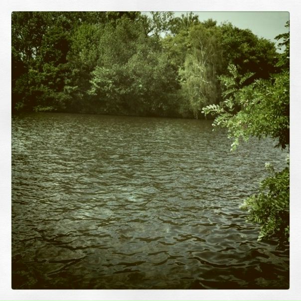 №56, Саша Рябина, Санкт-Петербург №56, Саша Рябина, Санкт-Петербург