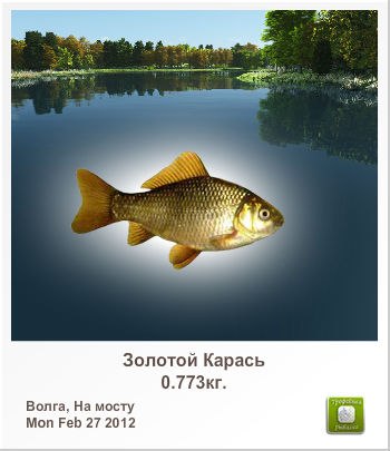 Алексей Ковалёв | Одесса