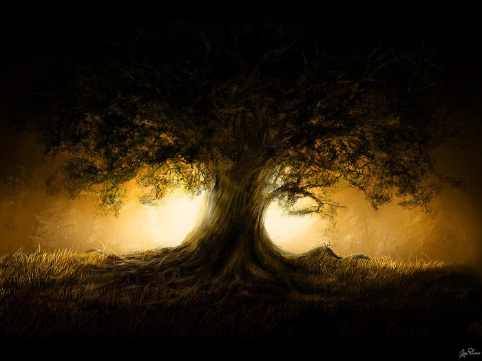 Мира Мирная Salamandra | Москва