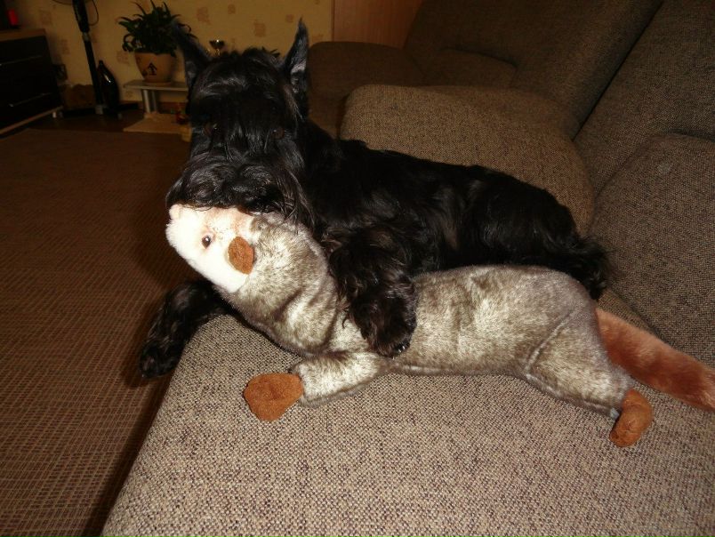 №122, Александр Дегтярев, Петрозаводск №122, Александр Дегтярев, Петрозаводск