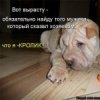 Аватар: Саша Мачоо