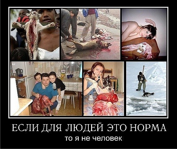 Мария Петрова-Заболотная | Днепр (Днепропетровск)