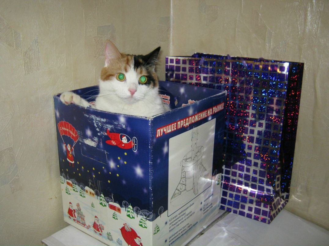 Елена Багрова | Санкт-Петербург