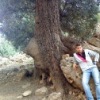 Аватар: Messaoud Bouzid