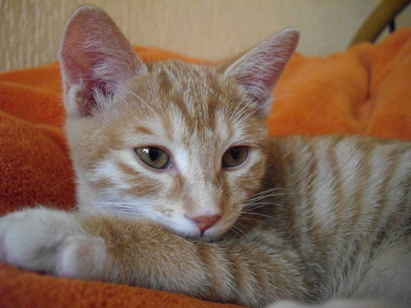 Ирина Родионова | München