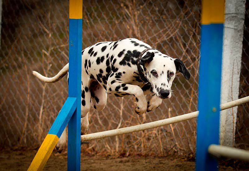 Любовь Бугеда | Одесса