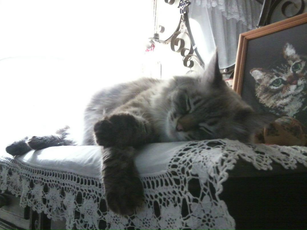 Мария Корлякова | Ижевск