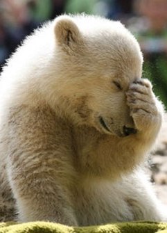 Влад Панченко | Киев