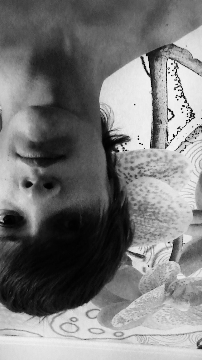 Дмитрий Сивицкий | Витебск