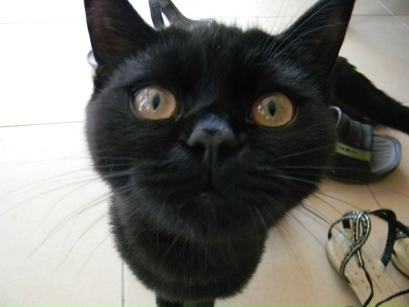 №49, Анна Эммерт, 40 лет, Москва №49, Анна Эммерт, 40 лет, Москва