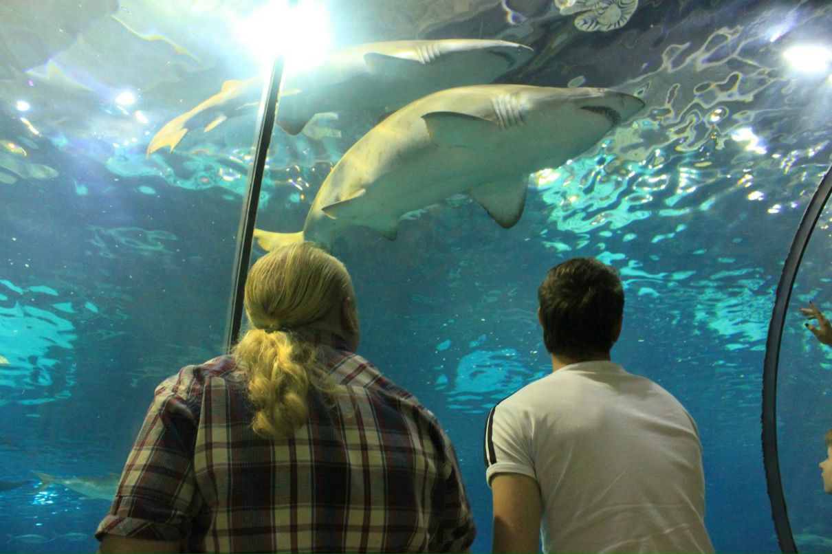 Роман Павлов | Конаково