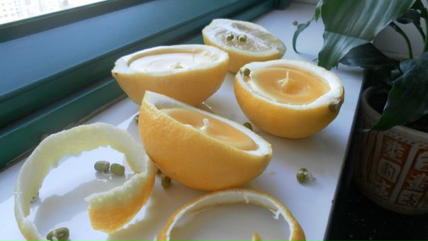 №70, Виктория Гудкова №70, Виктория Гудкова