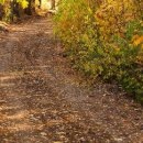 №15, Олег Водинов, Череповец №15, Олег Водинов, Череповец