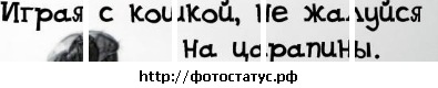 №50, Яна Глазкрицкая, Брянск №50, Яна Глазкрицкая, Брянск