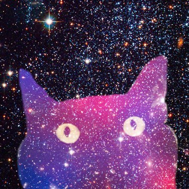 Виктория Волкова | Москва