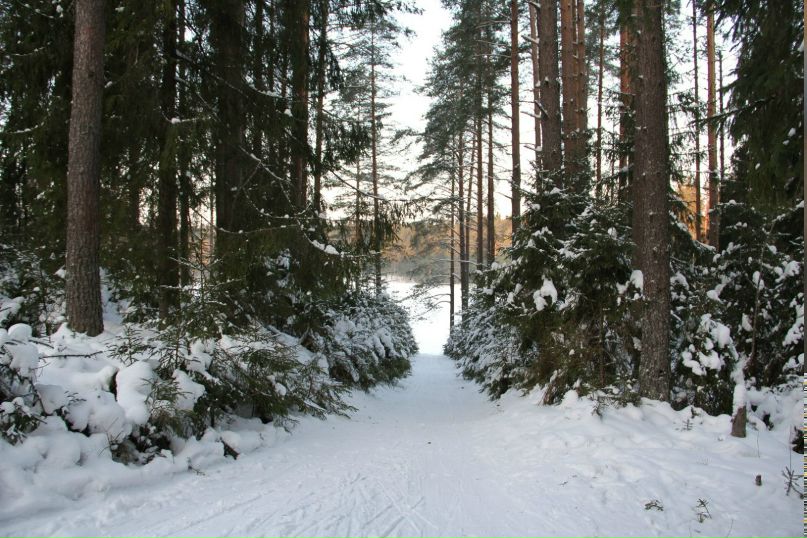 Ирина Кузьмина | Тихвин