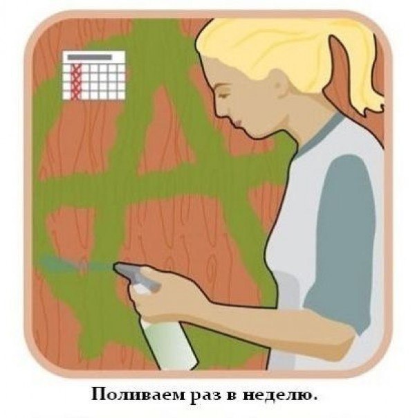 Nino Карамель - | Москва