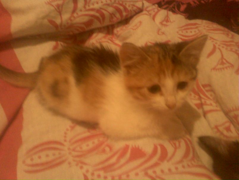 №10, Артур Фаттахов, 37 лет, Уфа №10, Артур Фаттахов, 37 лет, Уфа