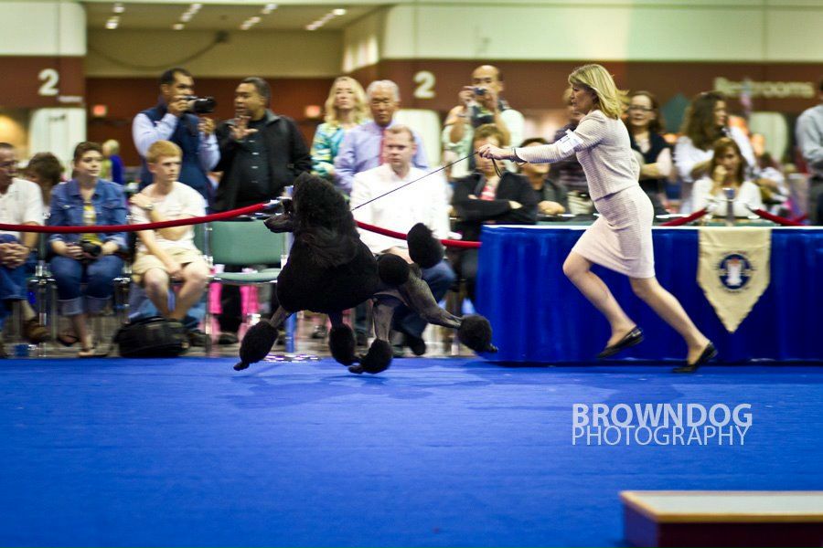 №172, Екатерина Чемакина, Санкт-Петербург, Россия №172, Екатерина Чемакина, Санкт-Петербург, Россия