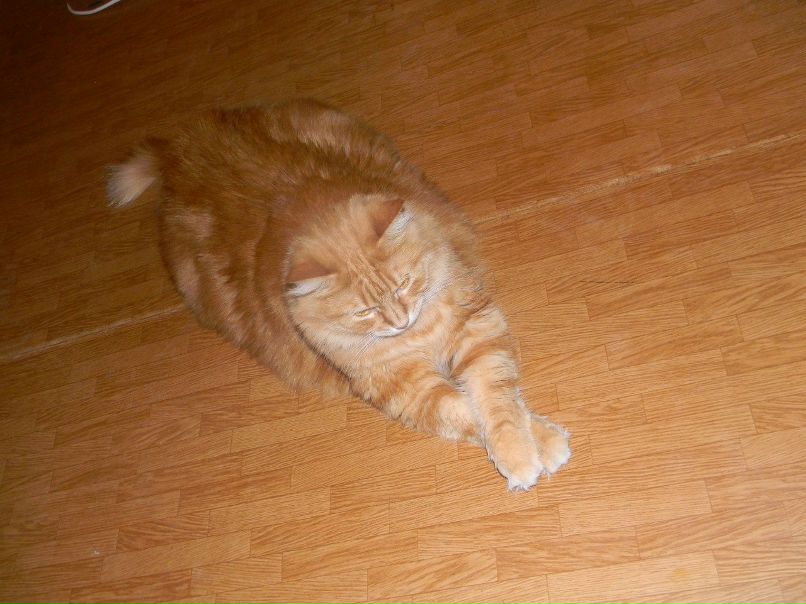 Дмитрий Андреевич | Мелитополь