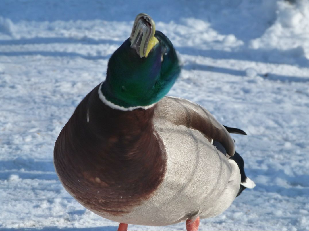 Инна Малмыга | Санкт-Петербург