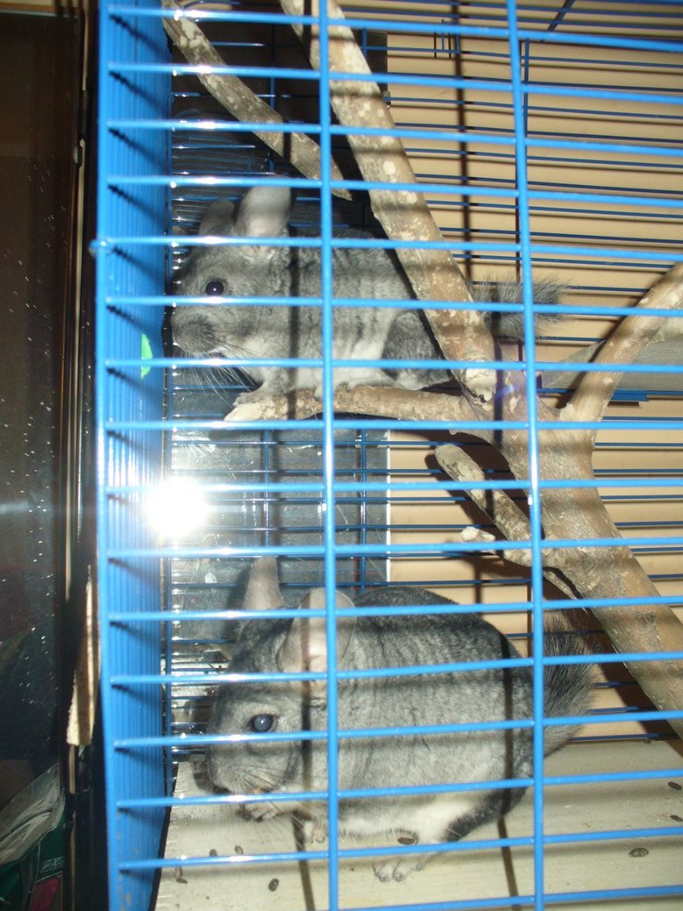 Галина Захарова *ГаЛиНкА* | Одесса