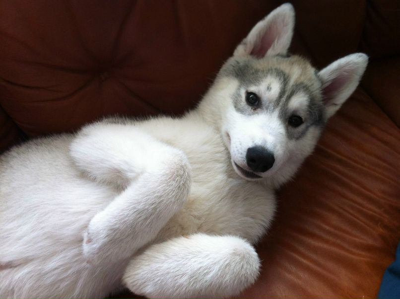 Антон Матвеев | Екатеринбург