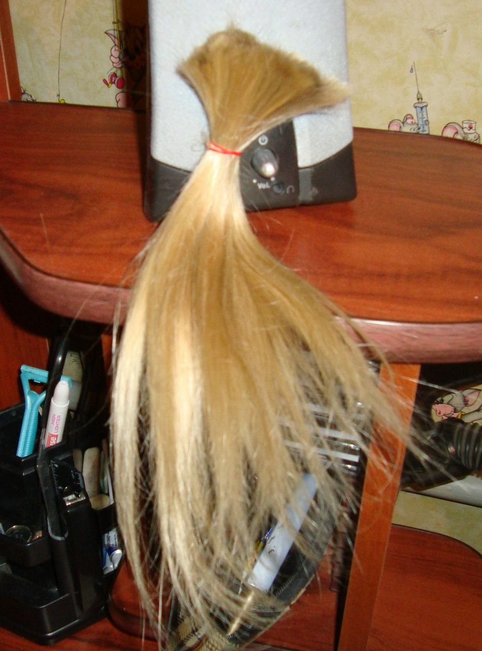 Катерина Мозгина | Сокол