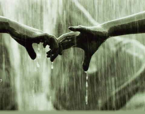 Violeta Bertulytė | Šiauliai