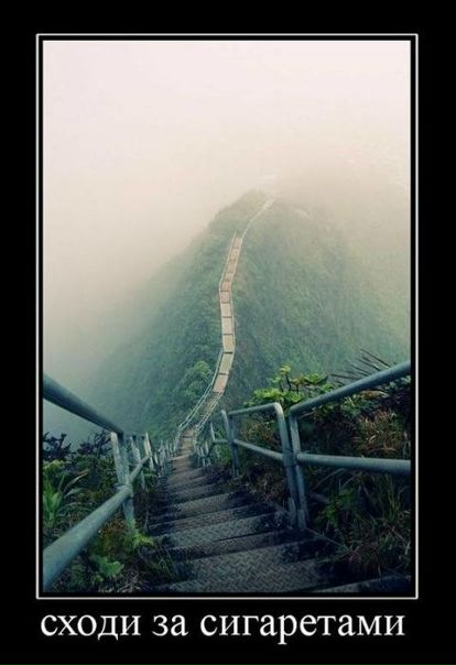 №20, Серёга Герасименко, 36 лет, Кропивницкий / Кировоград №20, Серёга Герасименко, 36 лет, Кропивницкий / Кировоград