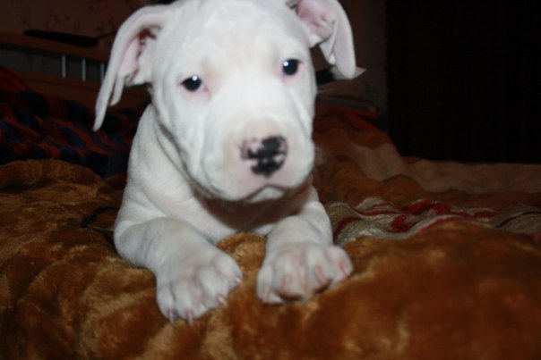 Наталья Терентьева | Санкт-Петербург