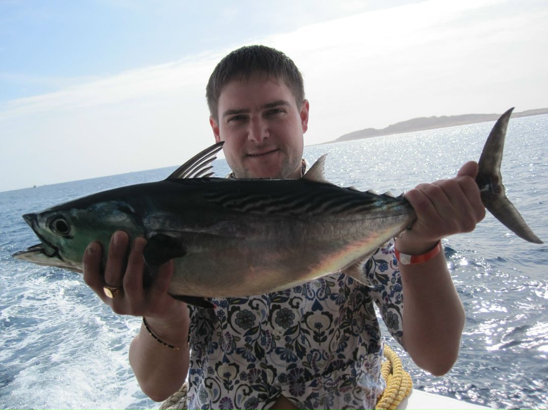 Федор Божко (*)  (*) | Санкт-Петербург