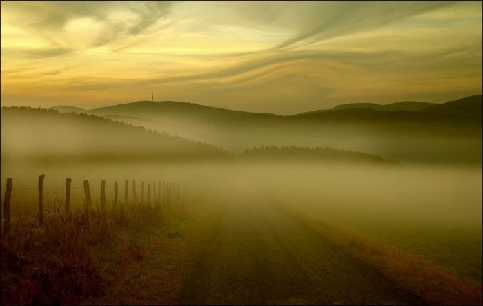 Стёпа Зайчик | San Juan