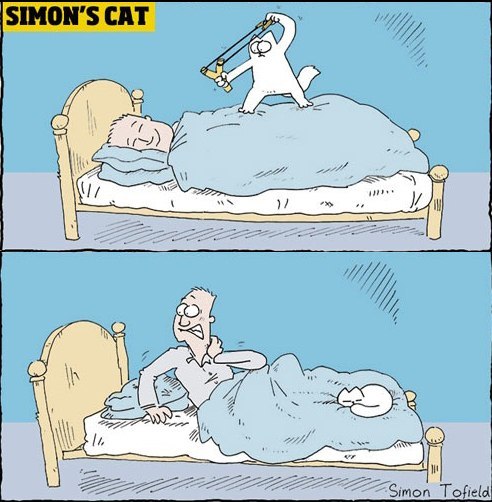 Юрий Огданский | 