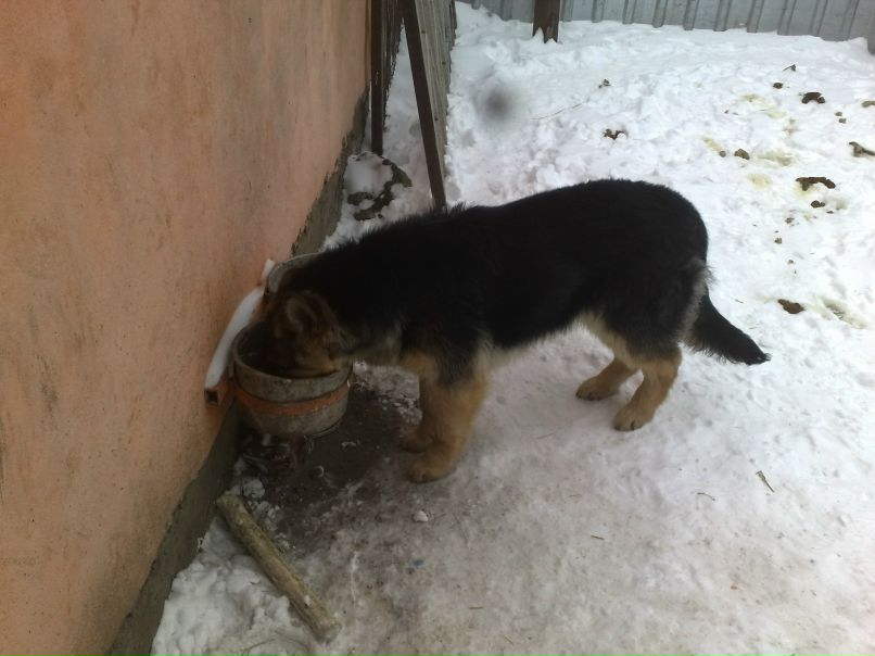 Юрий Дубов | Озёры
