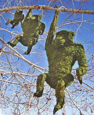 Венера Гаянова | Уфа