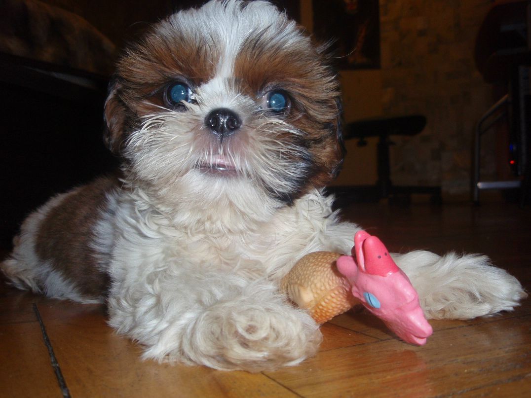 Александр Васильев | Москва