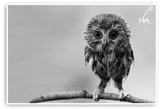 Катя Канадская | Toronto