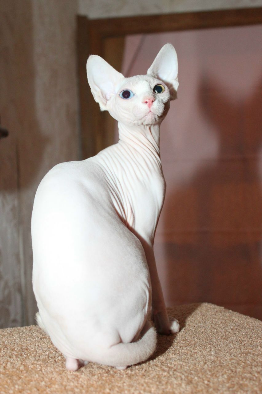 Наталья Мацковская | Вологда