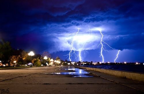 Светлана Майсюра | Киев