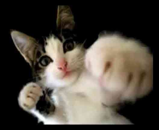 Рудольф Ерибекян | Ростов-на-Дону