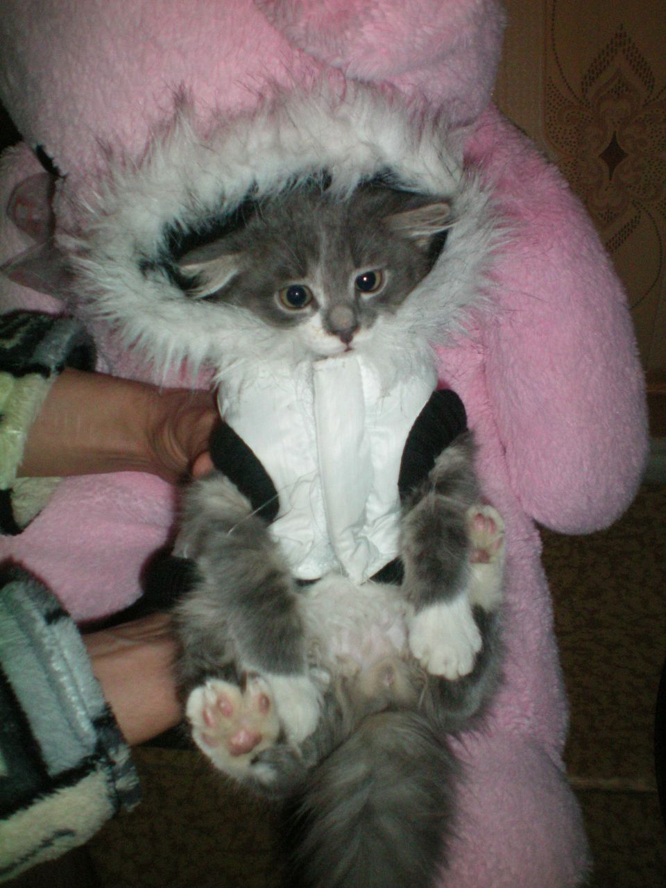 Анна Клименко ♥♥♥ | Москва