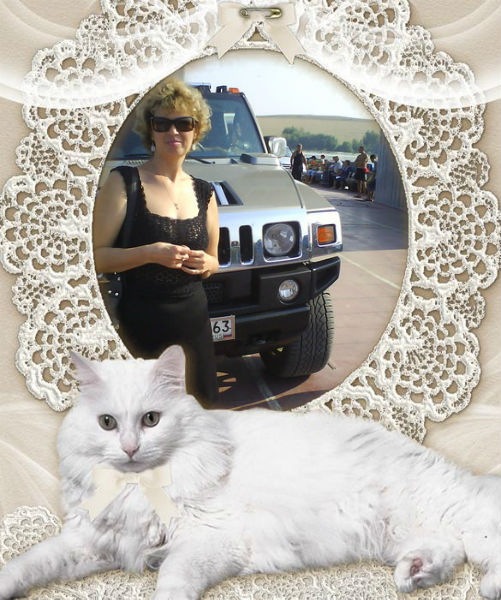 №71, Ирина Хромова, Тольятти №71, Ирина Хромова, Тольятти