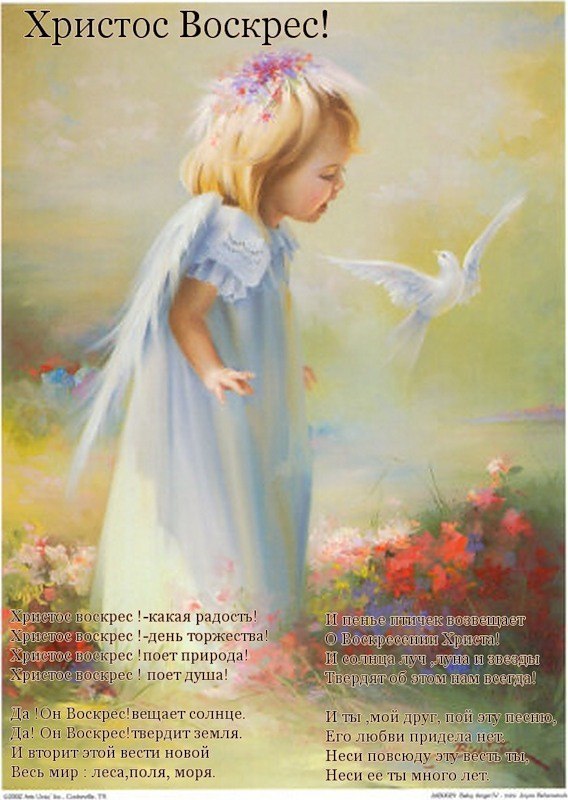 Дмитрий Дин | Санкт-Петербург