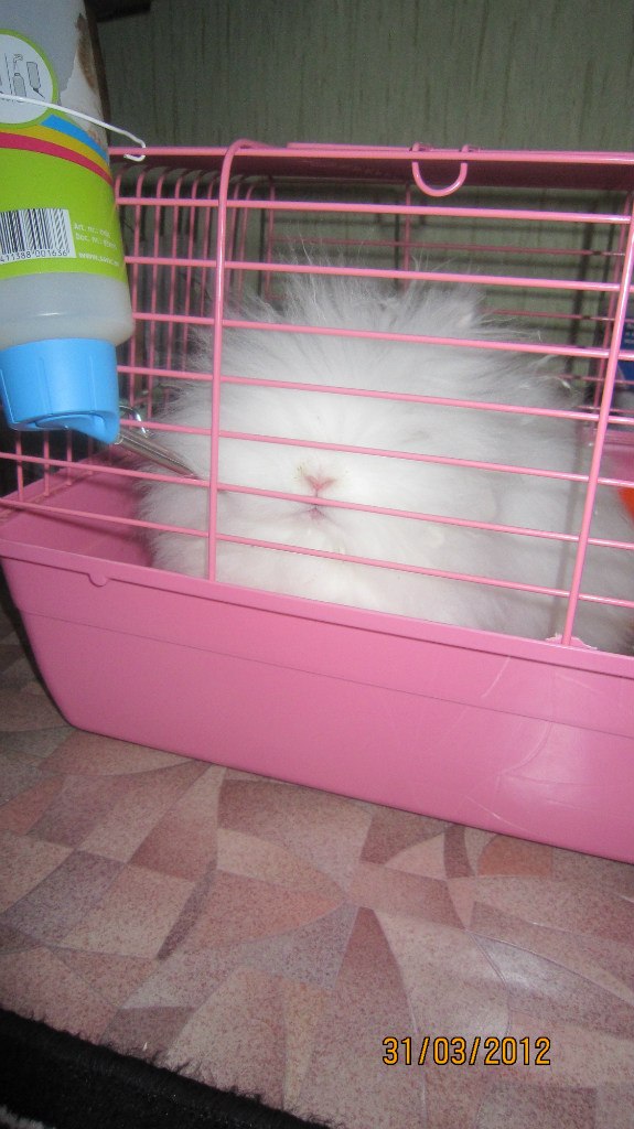 Вячеслав Пикуль | Санкт-Петербург