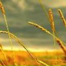 Александр Бабкин | Осиново