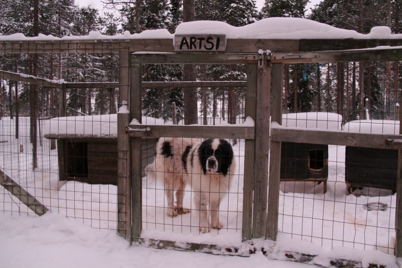 Маруся Котова | Санкт-Петербург