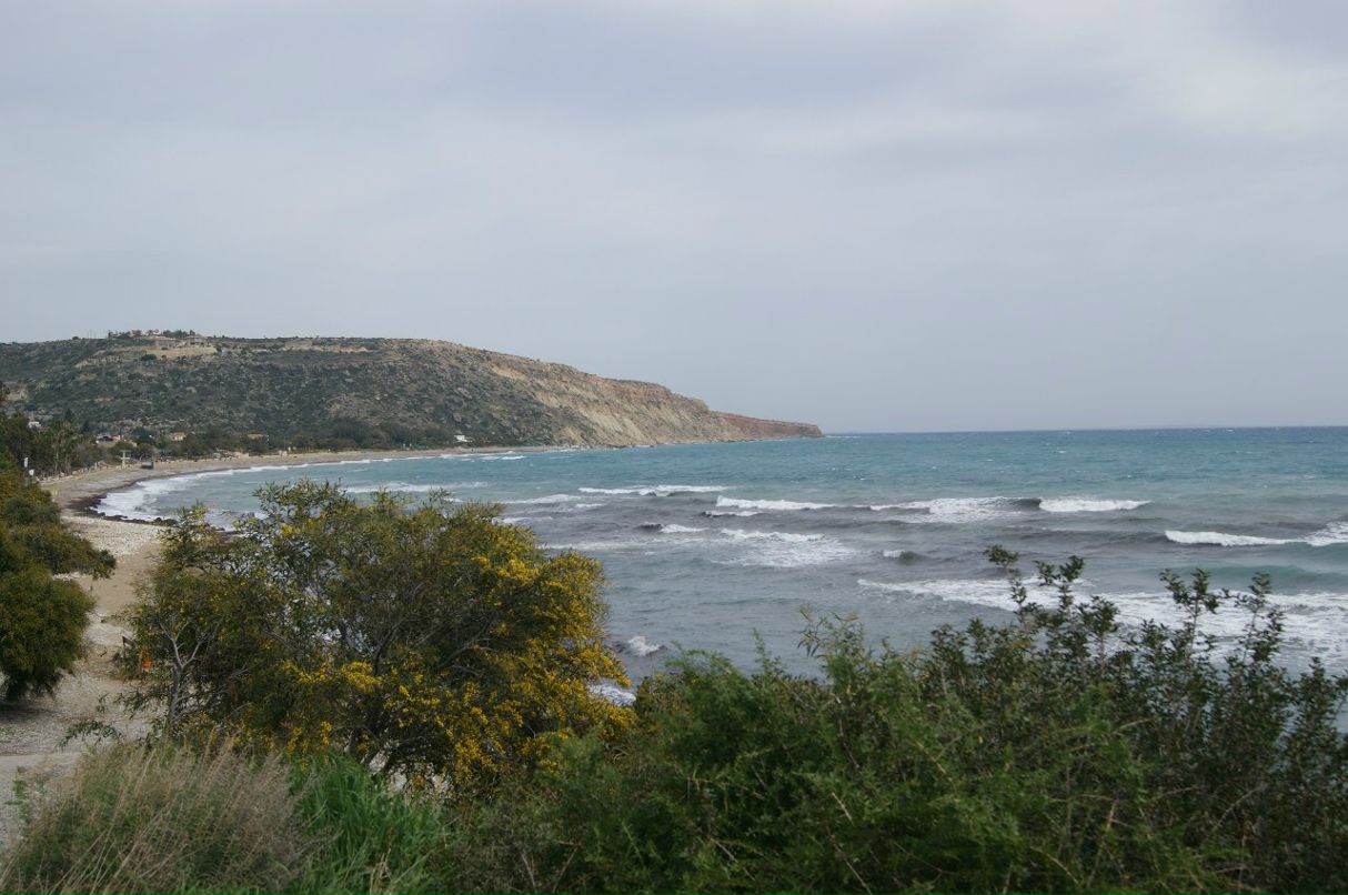Анатолий Зырянов | Москва