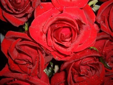 Світлана Дерунець | Винница