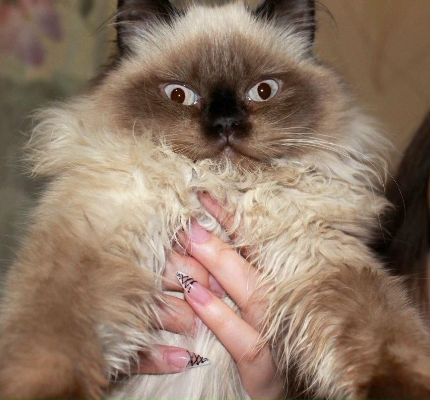 Екатерина Топтунова | Челябинск